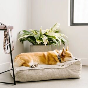 PetSmart BeOneBreed THERAPET Dog Bed w/ Pillow in corduroy Irish Cream sz Med